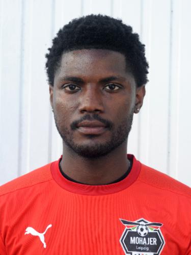 Raoul Stephane Tchouamo Kamjom