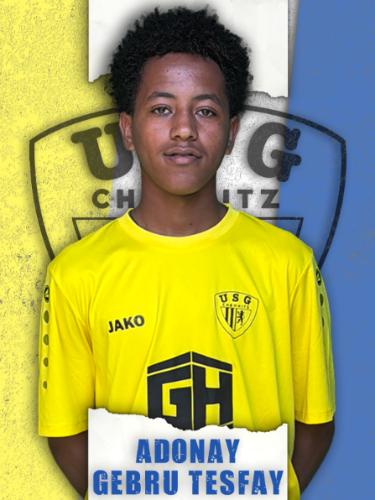 Adonay Gebru Tesfay