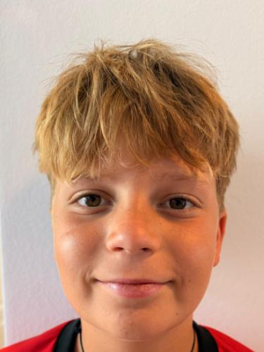 Niklas Allafranchino