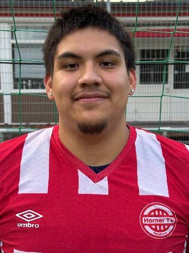 Diego Javier Perez Marpartida