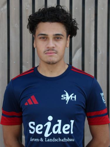 Tarek Mohamed Ismail