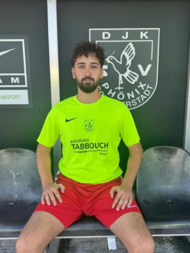 Taha Enes Icöz