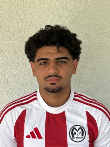 Alaa Aid Bakr Al-Qubat
