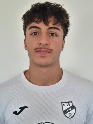 Arda Palamut