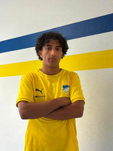Mahmoud Alali