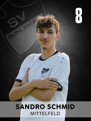 Sandro Schmid