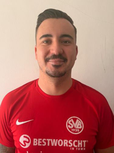 Dominik Tolusic