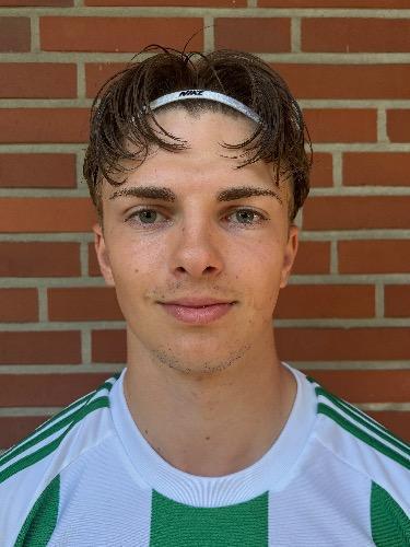 Victor Henry Siegfried