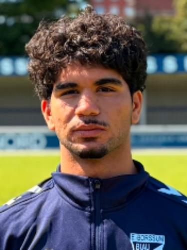 Ali Suleymann