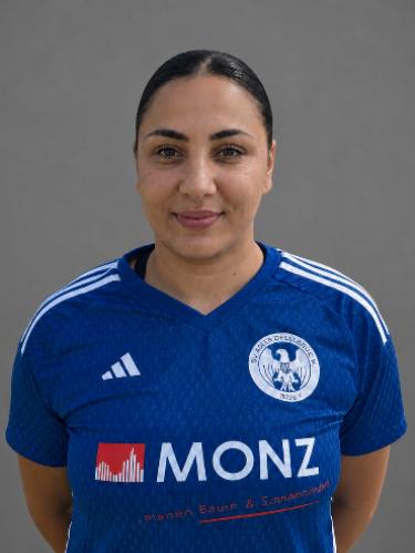 Melis Sarialtin