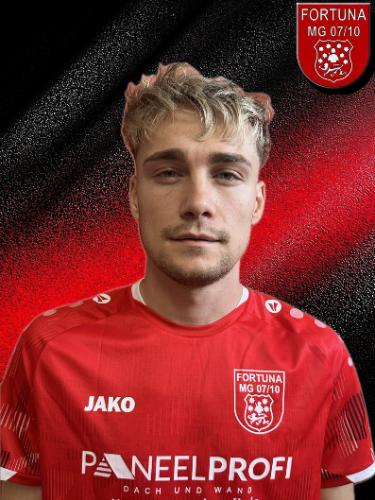 Denis-Iulian Lupu