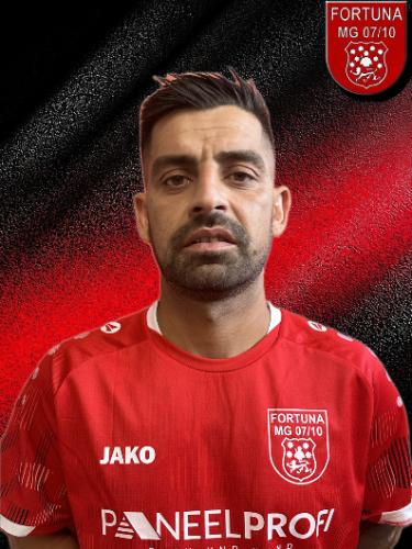 Adrian-Ionel Taranu