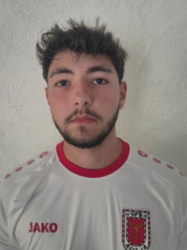 Darian-Ovidiu Ivan