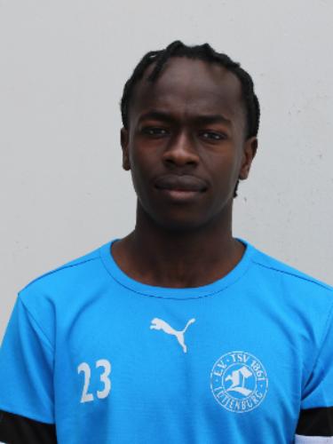 Faris Elfadil Osman Abdelmoula