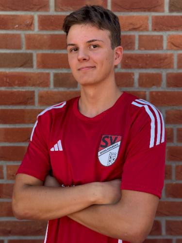 Dmytro Dyshlevyi