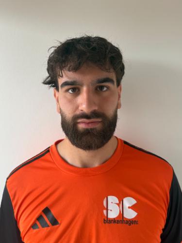 Karzan Assad Hamzah