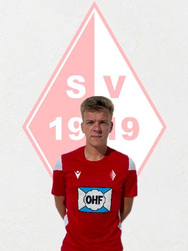 Niklas Holzwarth