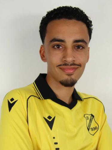 Ayman Hamza