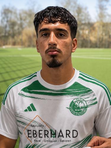 Ismail Farzat
