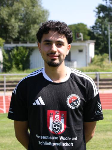 Mahmoud Hassan Hammour
