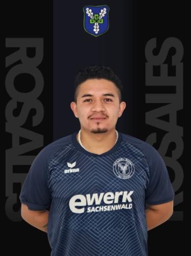 Carlos Cesar Elvir Rosales