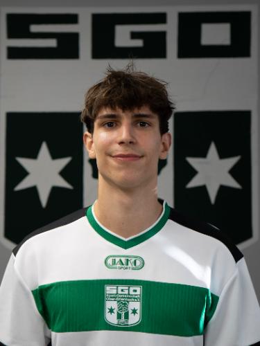 Leandro Ulrich Heinrich
