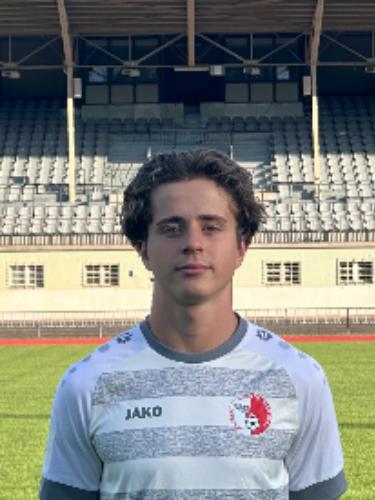 Robert Ionascu