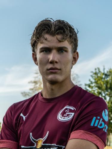 Mats Bertram