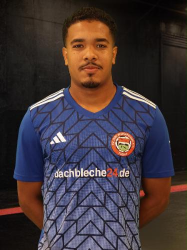 Pedro Henrique Miranda Conceicao