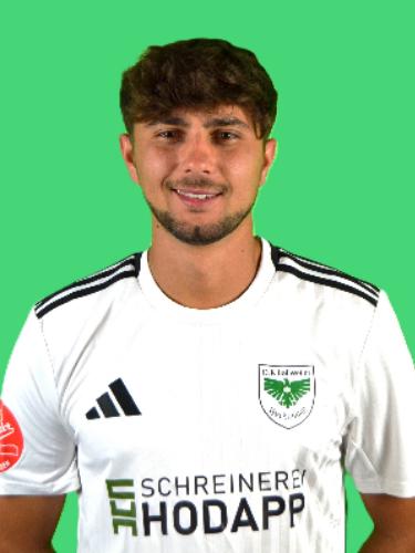 Lorenzo Stefan