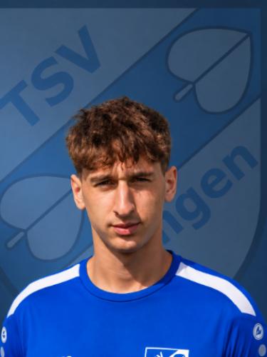 Dominik Salinovic