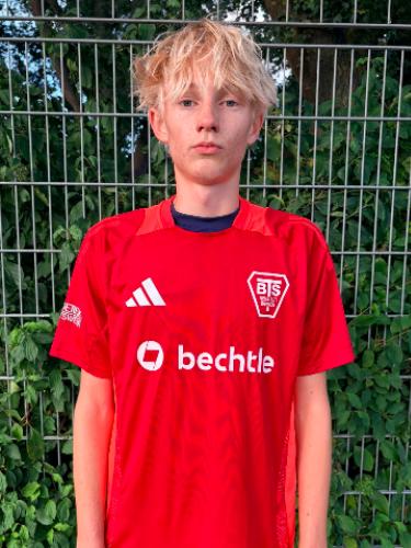 Theo Rolfes