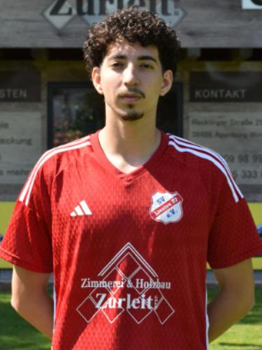 Hamza Haswa