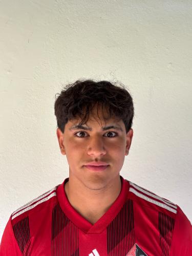 Arian Ataie