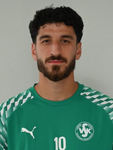 Dilges Bayrak
