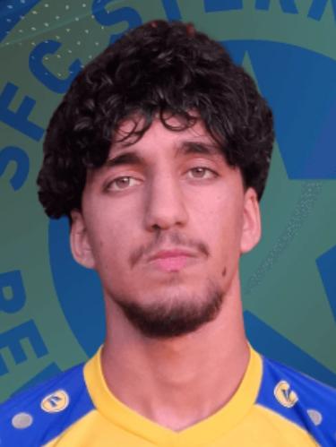 Hamid Sen