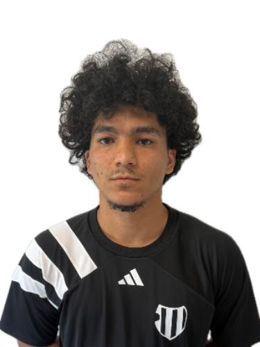 Mohyeddine Ali