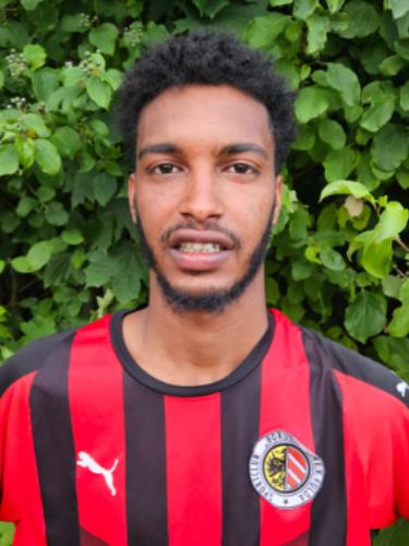 Daniel Mikel