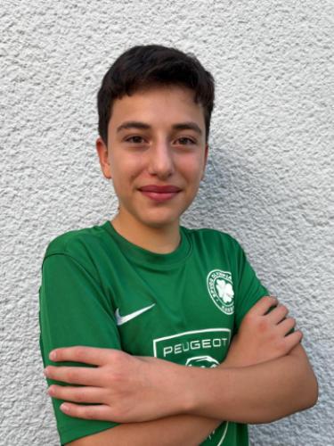 Mohamad Amir Tarrab