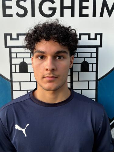 Mattia D'Elia