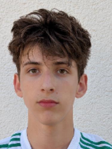 Mario Divljan