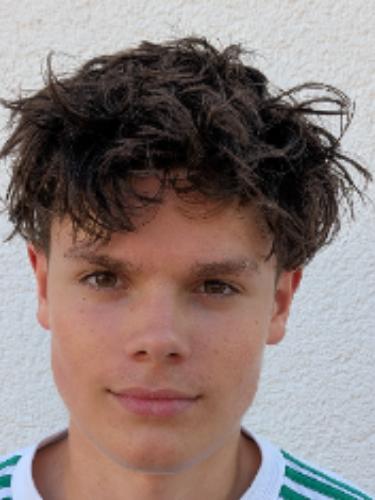 Leo Alexander Mamisch-Jocic