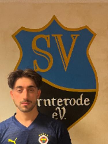 Lion Yesilbas