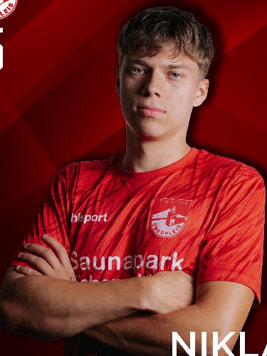 Niklas Briesovsky