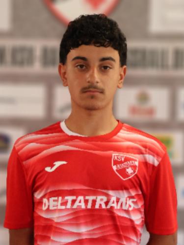 Ari Palo Ahmad