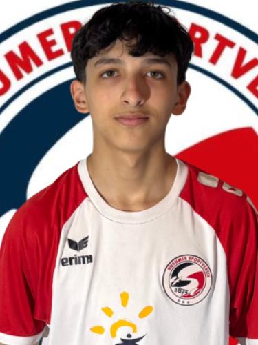 Mhd Amir Alfnish
