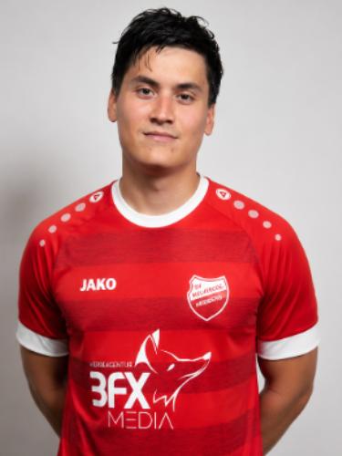Alexander Plaianu