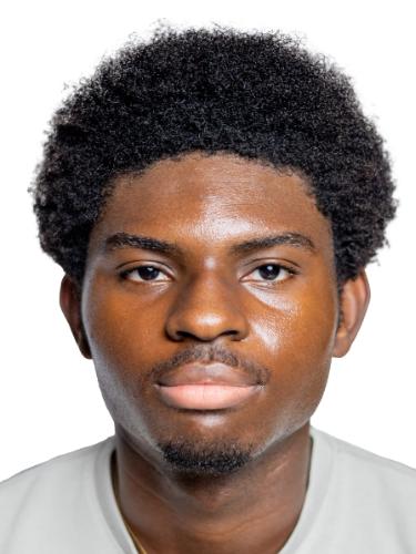Emmanuel Egede-Uzoma