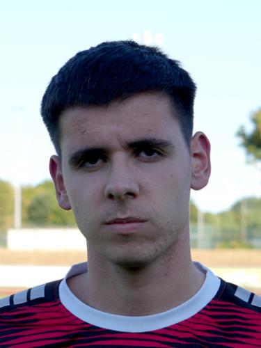 Nick Ioannis Zografos