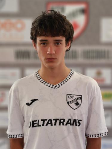 Luis Elias Schaub